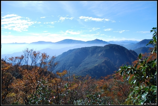 北插天山-多崖山-美麗的山毛櫸