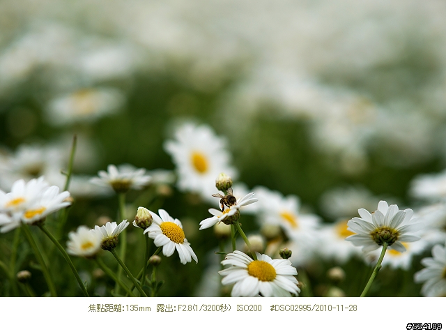 Alpha & Zeiss 臺北花博，圓山公園區