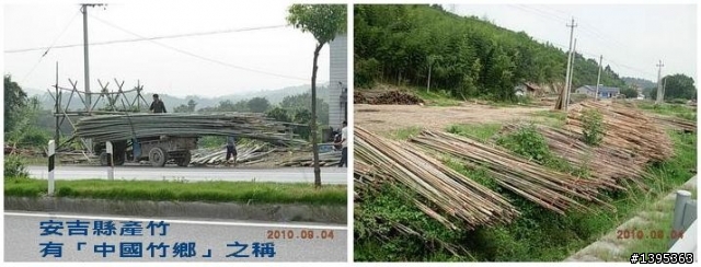 【2010神州之旅  】  北極村    TO   廈門