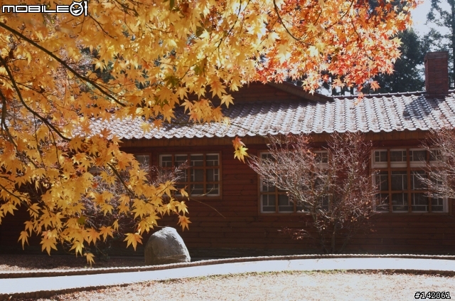 差點掛在北橫的福壽山趕路之旅