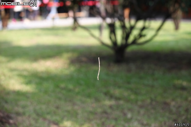 2010/11/09(二)逛花博