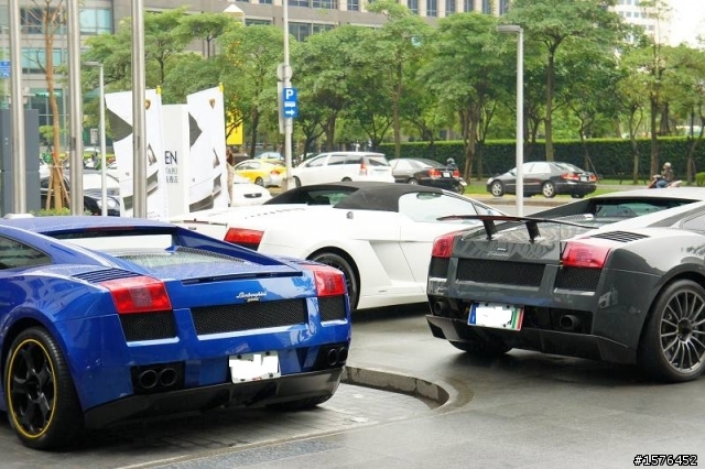 信義區!!!牛群!!