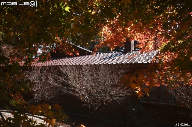 差點掛在北橫的福壽山趕路之旅