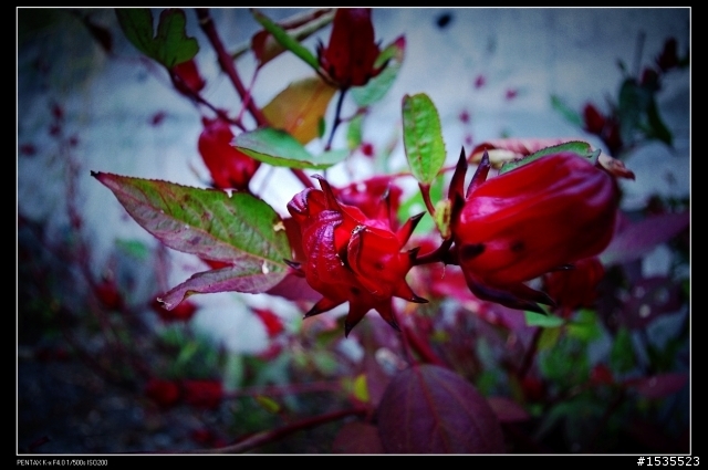 台灣遊之LOMO大樓 再來一棟?