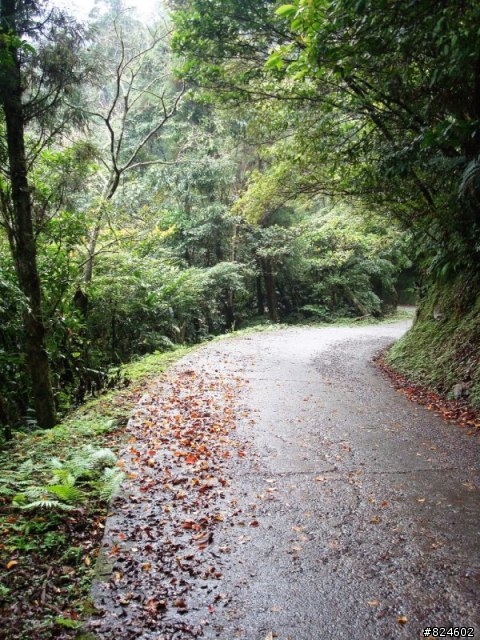 那個秋末‧桶后越嶺。
