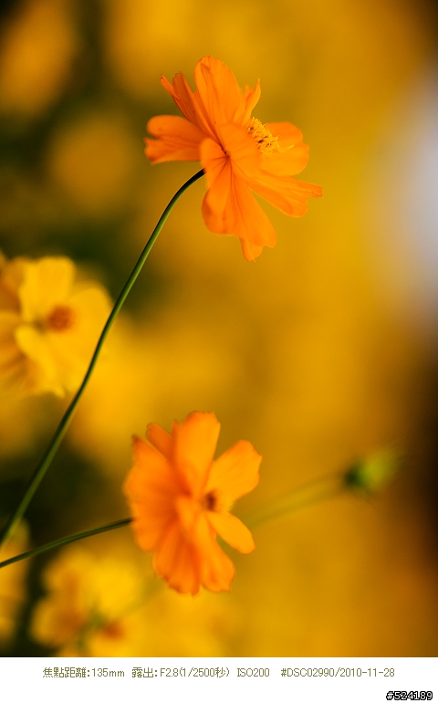 Alpha & Zeiss 臺北花博，圓山公園區