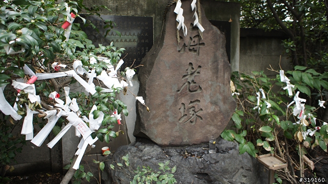 乘風而行～踩著颱風到日本！我的東京吃吃喝喝192小時