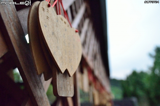 D7000+SIGMA17-70亂拍