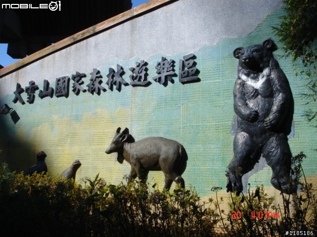 2010/11/20高雄至台中大雪山國家森林遊樂區隨心遊