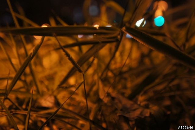 NEX5~第一次夜拍!