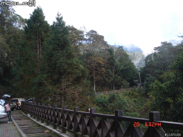 2010/11/20高雄至台中大雪山國家森林遊樂區隨心遊