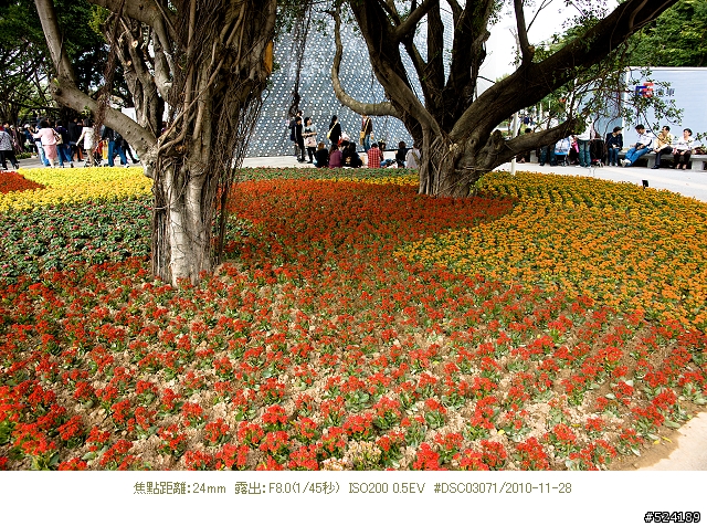 Alpha & Zeiss 臺北花博，圓山公園區