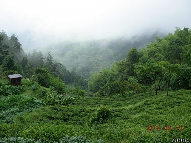 【2010神州之旅  】  北極村    TO   廈門