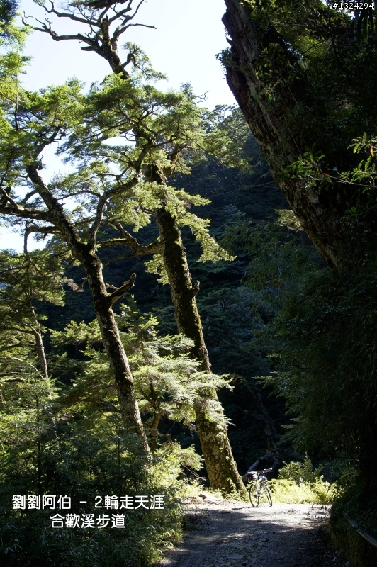 華崗 - 合歡溪步道(完整圖片上傳)、武陵、梨山日出看雪山黃金陵線