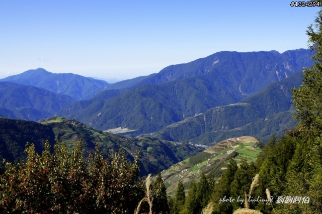 華崗 - 合歡溪步道(完整圖片上傳)、武陵、梨山日出看雪山黃金陵線