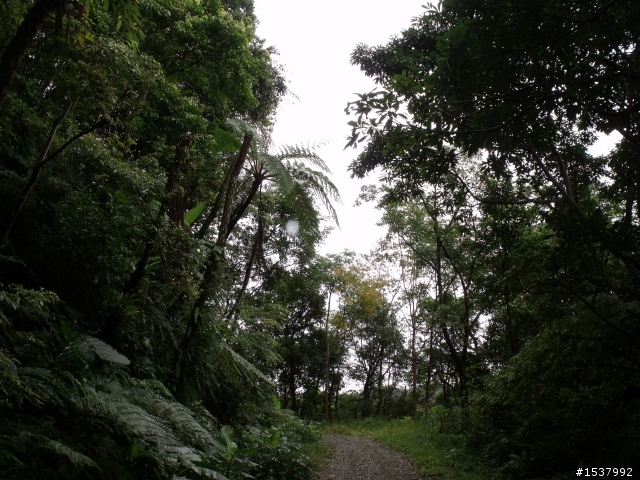 北113這適合off road嗎？