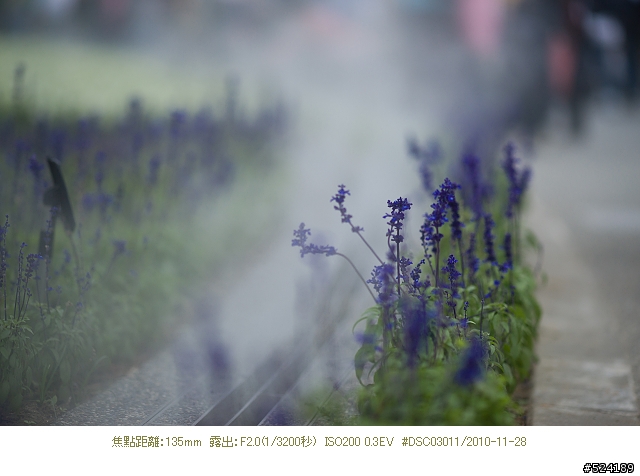 Alpha & Zeiss 臺北花博，圓山公園區