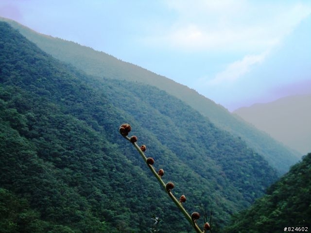 那個秋末‧桶后越嶺。