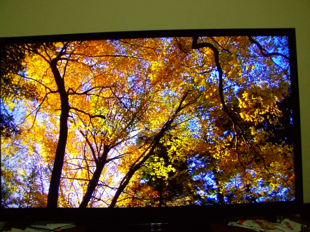 SONY 55NX810 使用中