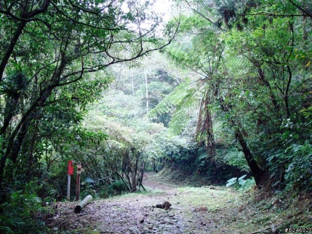 那個秋末‧桶后越嶺。