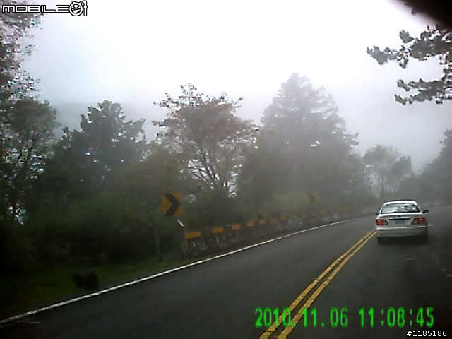 [路況]2010/11/06阿里山公路至新中橫公路