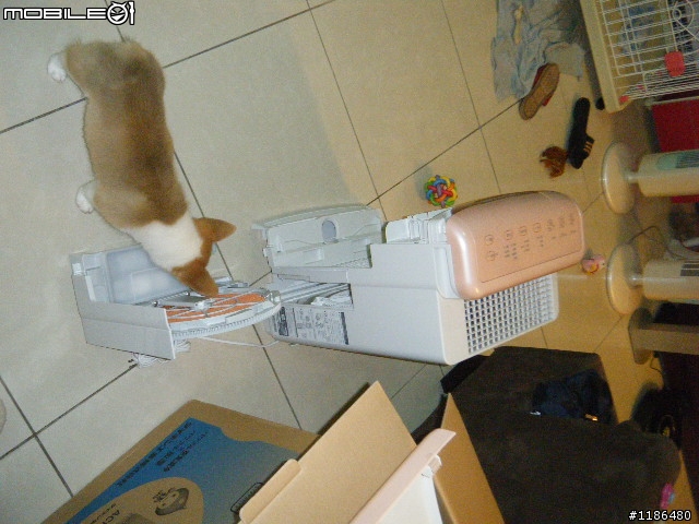 DAIKIN ACK75K 空氣清淨機簡易開箱