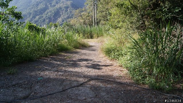 露天溫泉之寶來探路行