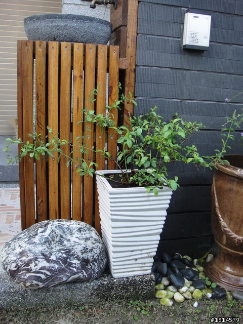 小小庭院‧大變身
