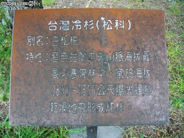 [分享]991106大雪山國家森林遊樂區