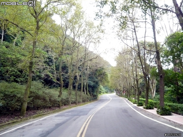 楓葉隧道-石門水庫