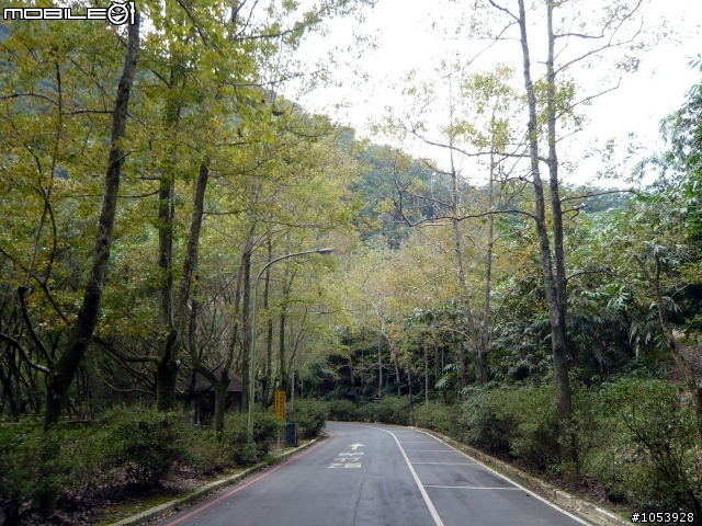 楓葉隧道-石門水庫
