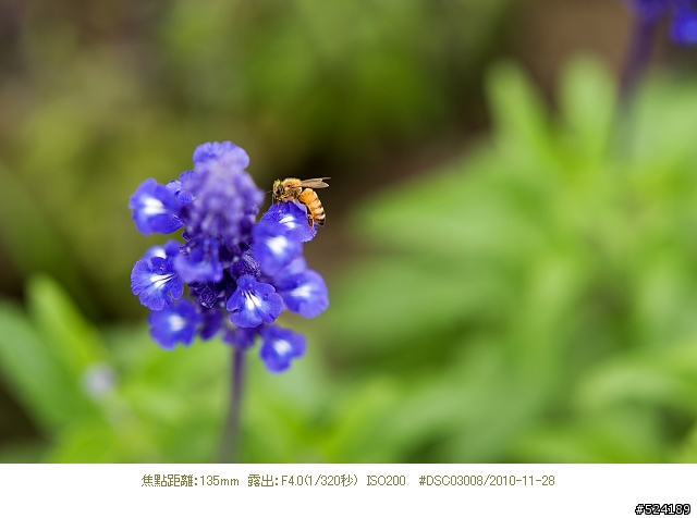Alpha & Zeiss 臺北花博，圓山公園區