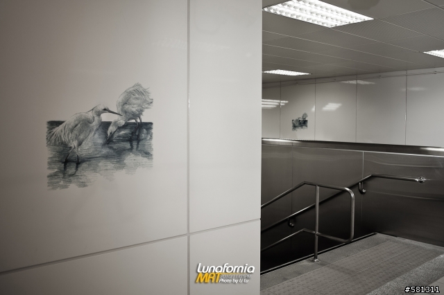 湊熱鬧！走出巷口蘆洲捷運內湖上班去！Let's go by Lunafornia MRT