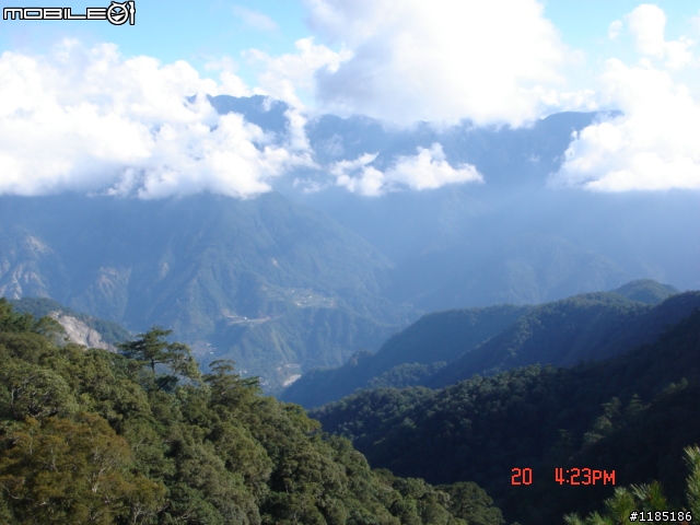2010/11/20高雄至台中大雪山國家森林遊樂區隨心遊