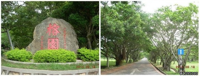 【2010神州之旅  】  北極村    TO   廈門