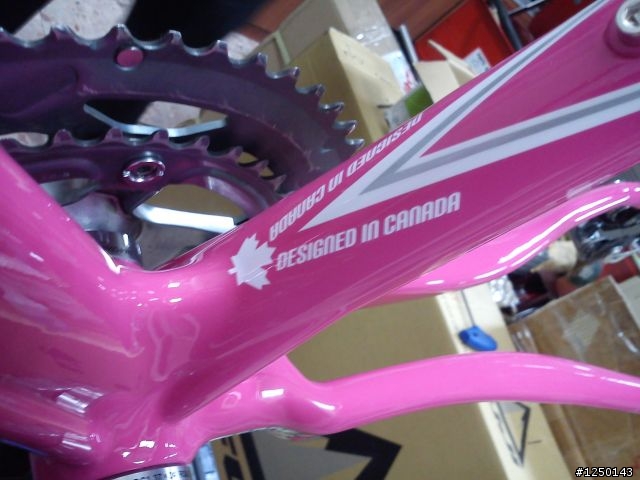 [開箱] LG  GARNEAU  SONIX6.4  pink轉生!!!