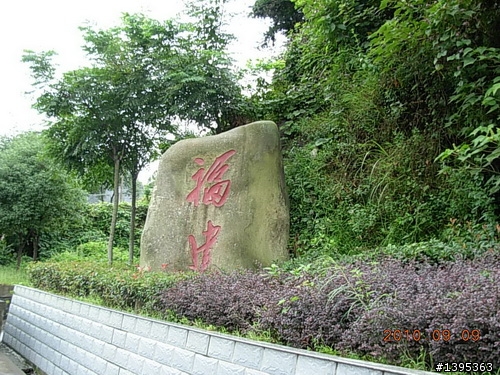 【2010神州之旅  】  北極村    TO   廈門