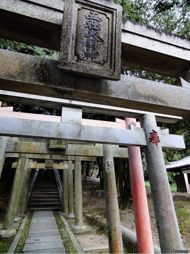 WX5分享~ 京都。早秋