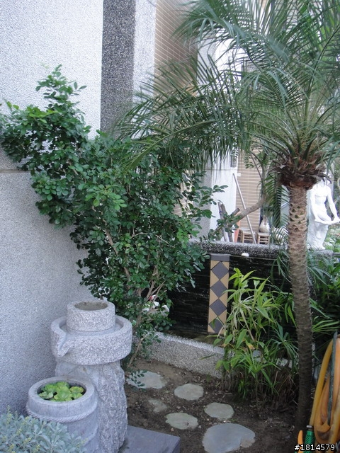 小小庭院‧大變身