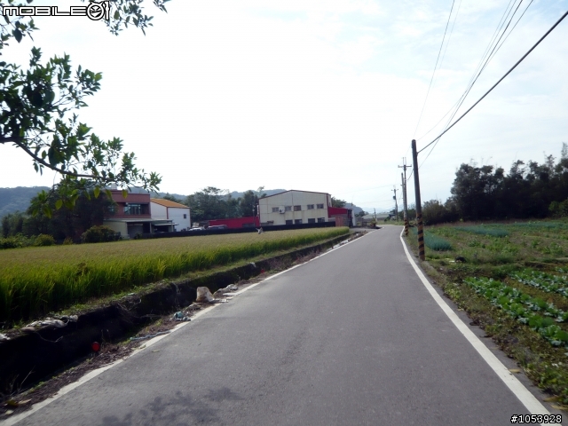 楓葉隧道-石門水庫