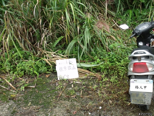 北113這適合off road嗎？