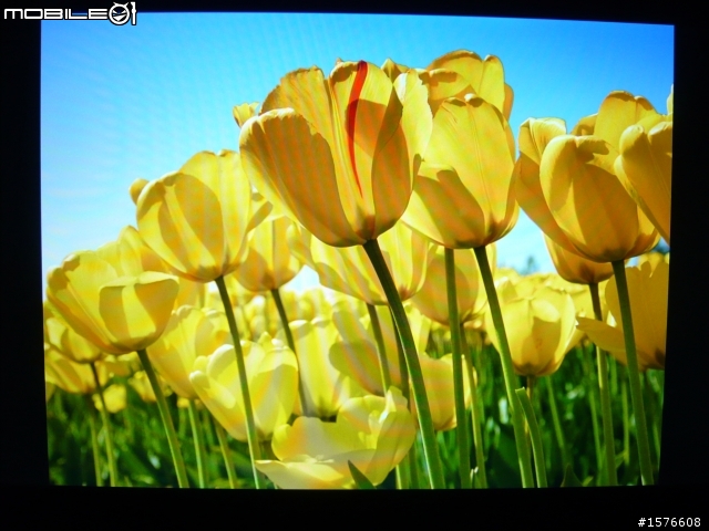 鋼琴質感再進化 ASUS ML248H 開箱分享