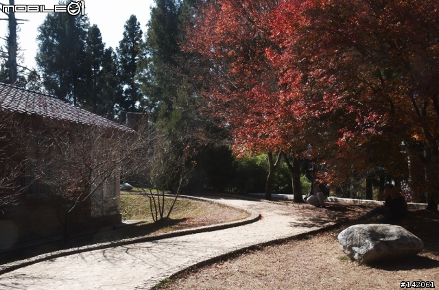 差點掛在北橫的福壽山趕路之旅