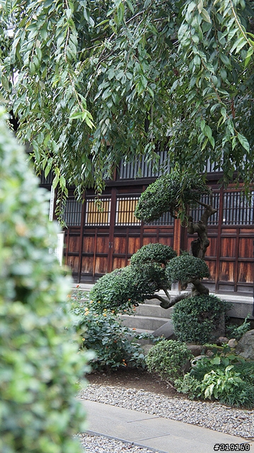 乘風而行～踩著颱風到日本！我的東京吃吃喝喝192小時