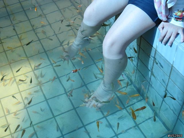 胖白  賞楓泡溫泉去