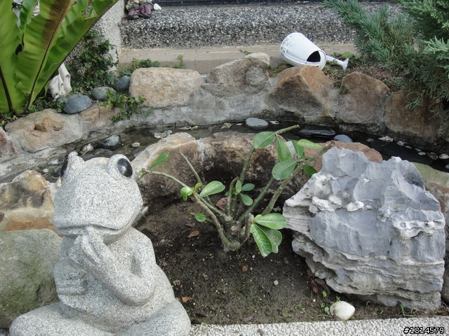 小小庭院‧大變身