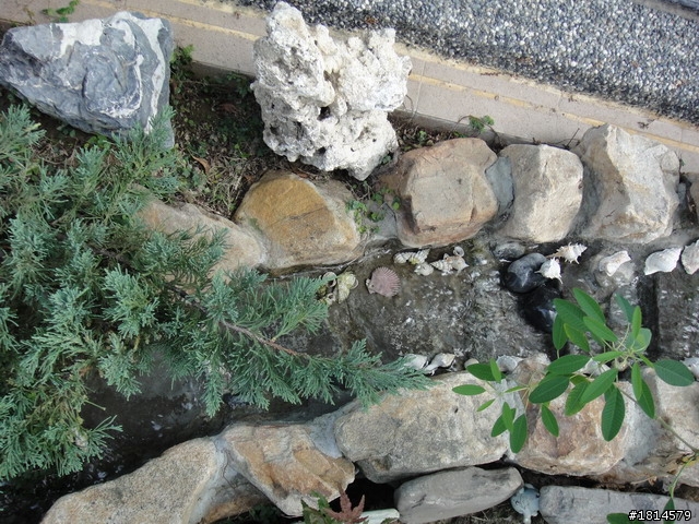 小小庭院‧大變身