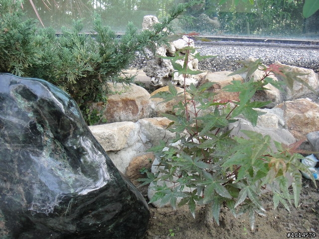 小小庭院‧大變身