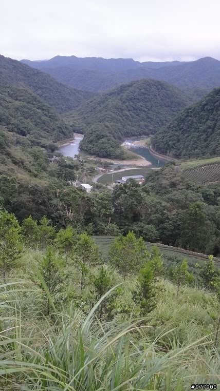 【醉愛騎】坪雙公路(42縣道)貴妃池_闊瀨吊橋_黑龍潭_大舌湖