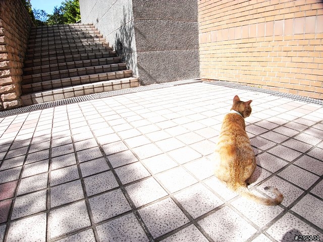 DC也辦的到~等距18mm超廣視野 Part II (GX100 + Nikon NH-WM75 )